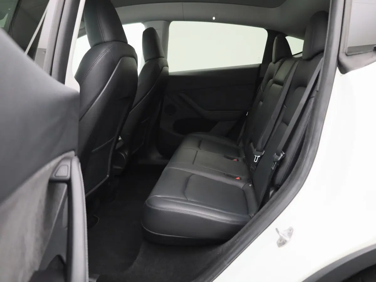 Long Range Dual Motor AWD | Lederen Bekleding | Privacy Glass | Panoramadak | LED Koplampen | Elektrische Kofferklep |