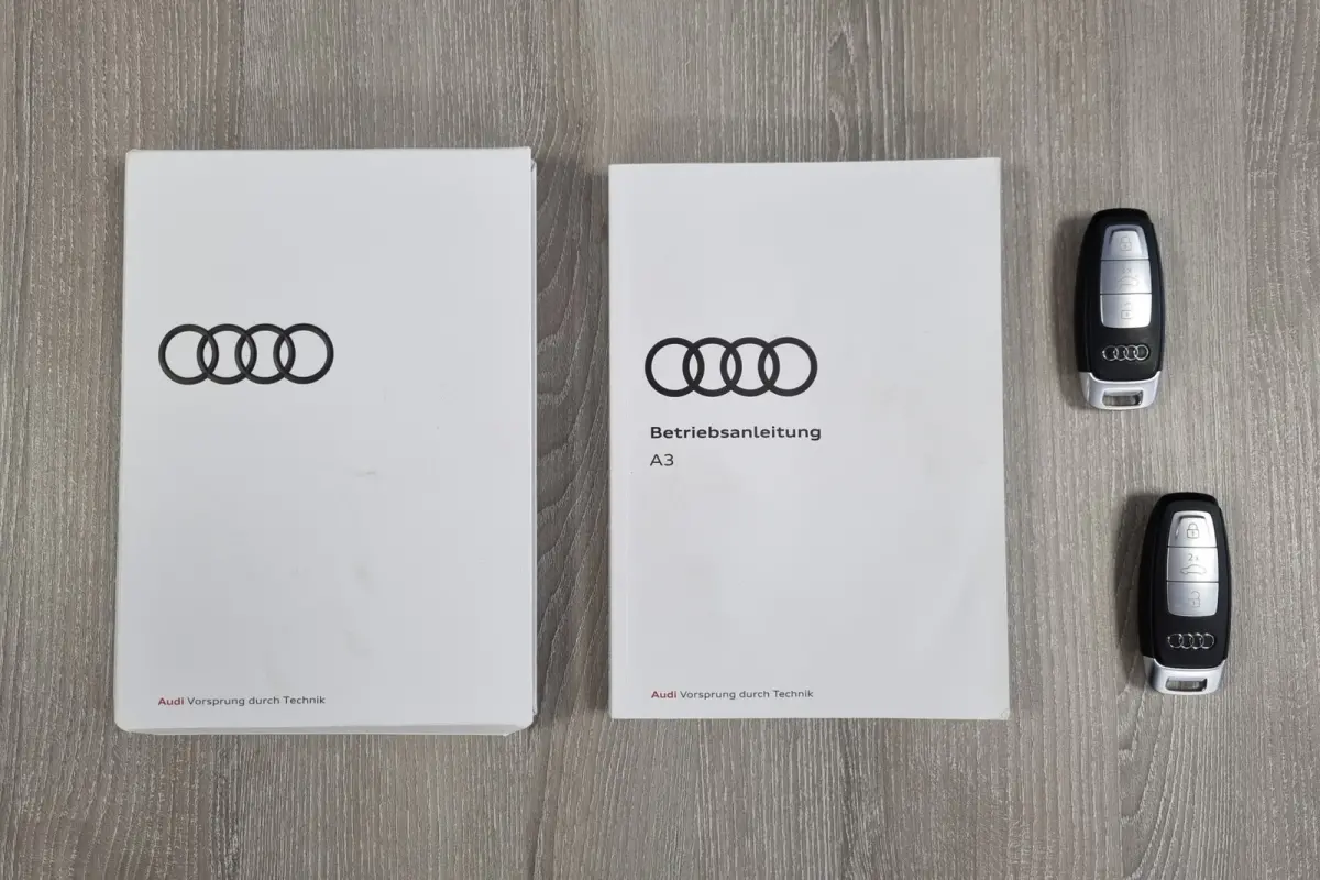 45 TFSI e 245pk S Line, Bang & Olufsen, Trekhaak, Stoelverwarming, Adaptive Cruise, PDC, Full LED.