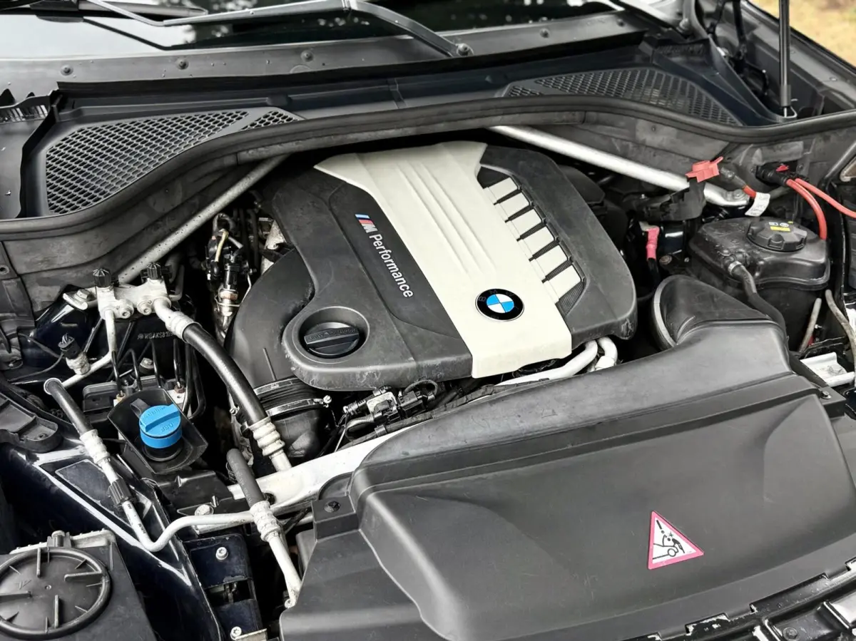 M50d 7p.