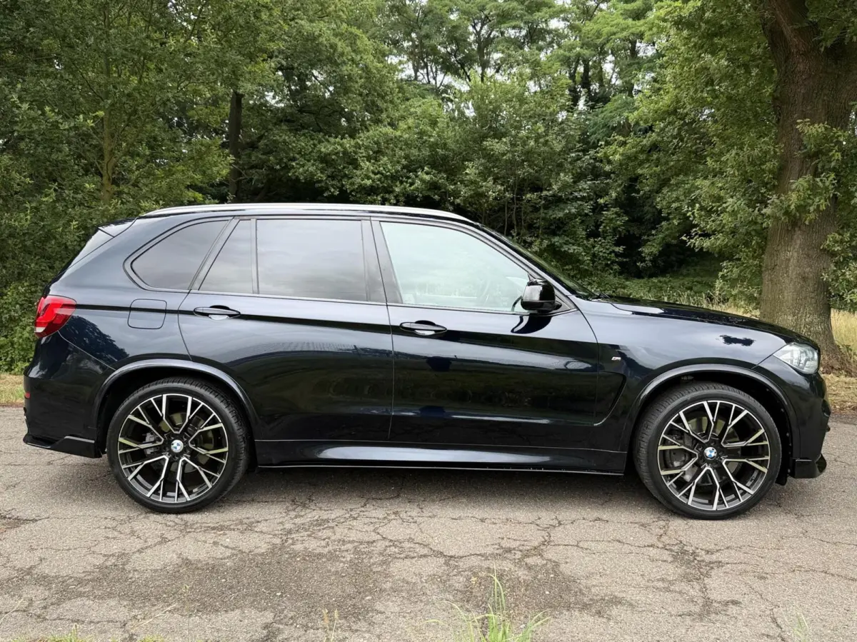 M50d 7p.
