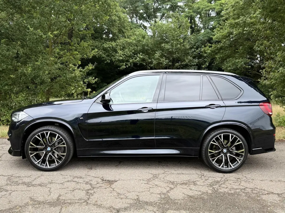 M50d 7p.