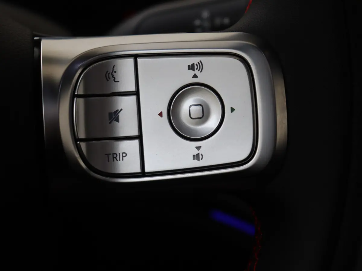 BRABUS / Stoelverwarming /  Halo Roof / 360°-camera / Easy entry / Frunk