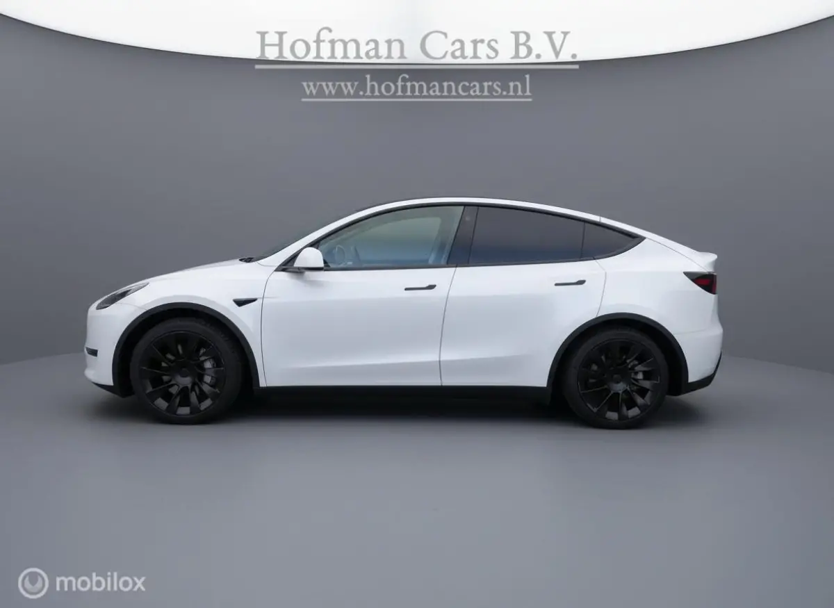 RWD 58 kWh | Ryzen | SOH 90% | LFP | Trekhaak | Pearl White | 20inch | Autopilot | Incl. BTW