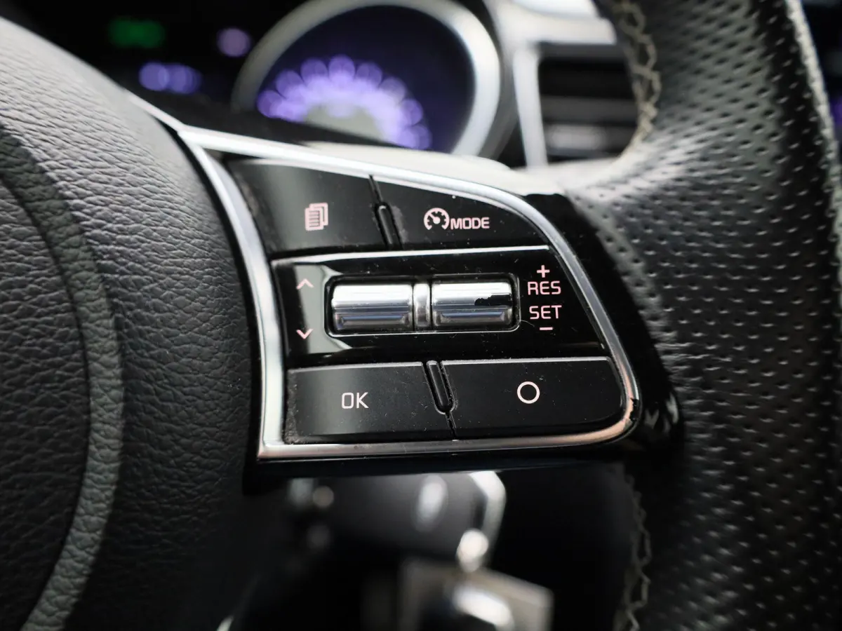 1.5 T-GDi MHEV GT-Line Edition AUTOMAAT | PANORAMADAK | NAVIGATIE | CAMERA