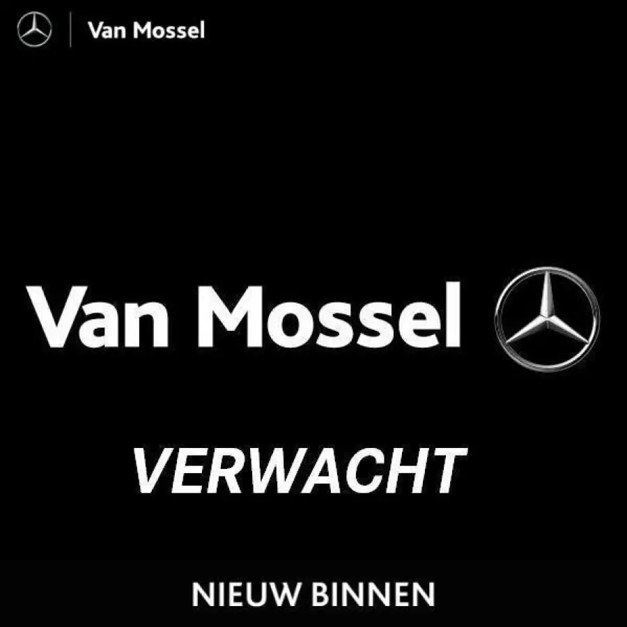 250 Business Solution AMG 67 kWh