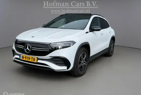 250 Business Solution AMG 67 kWh