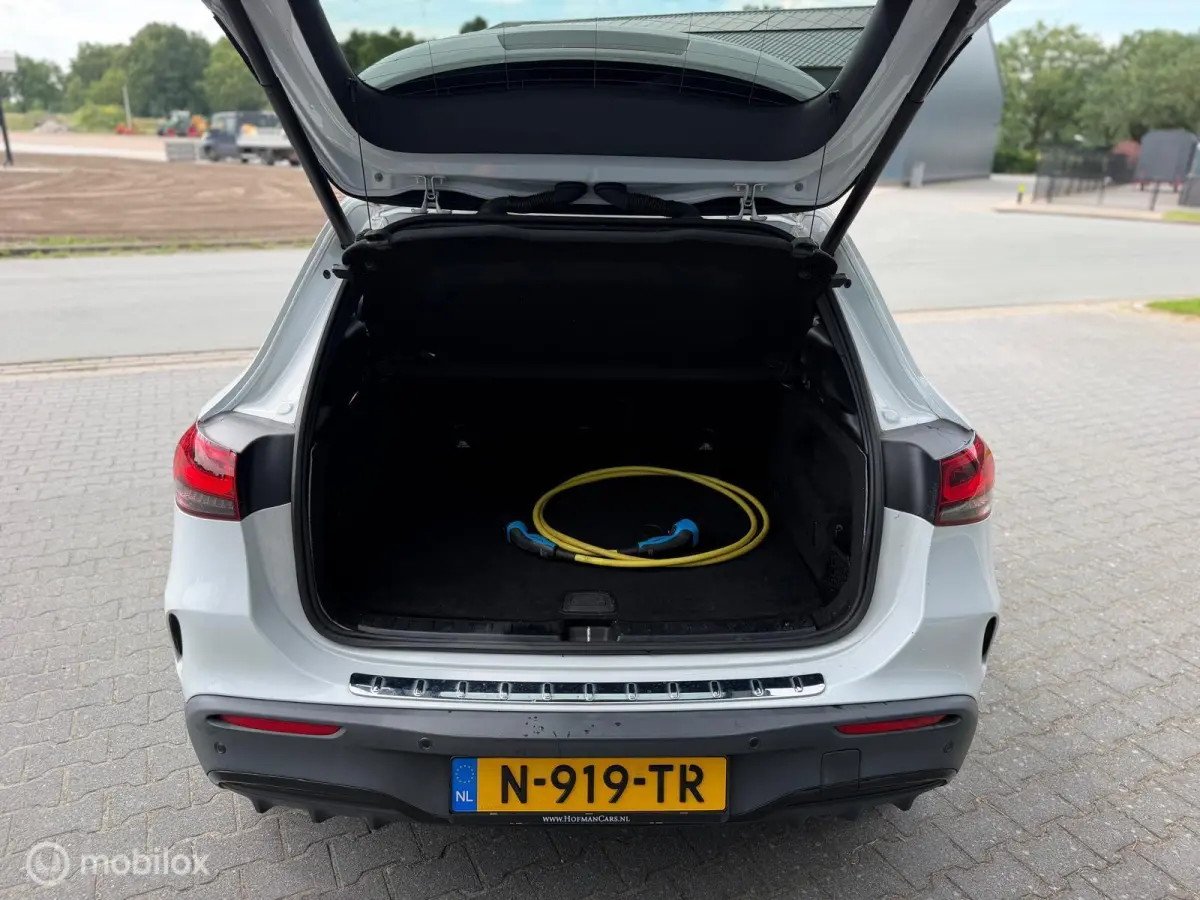 250 Business Solution AMG 67 kWh