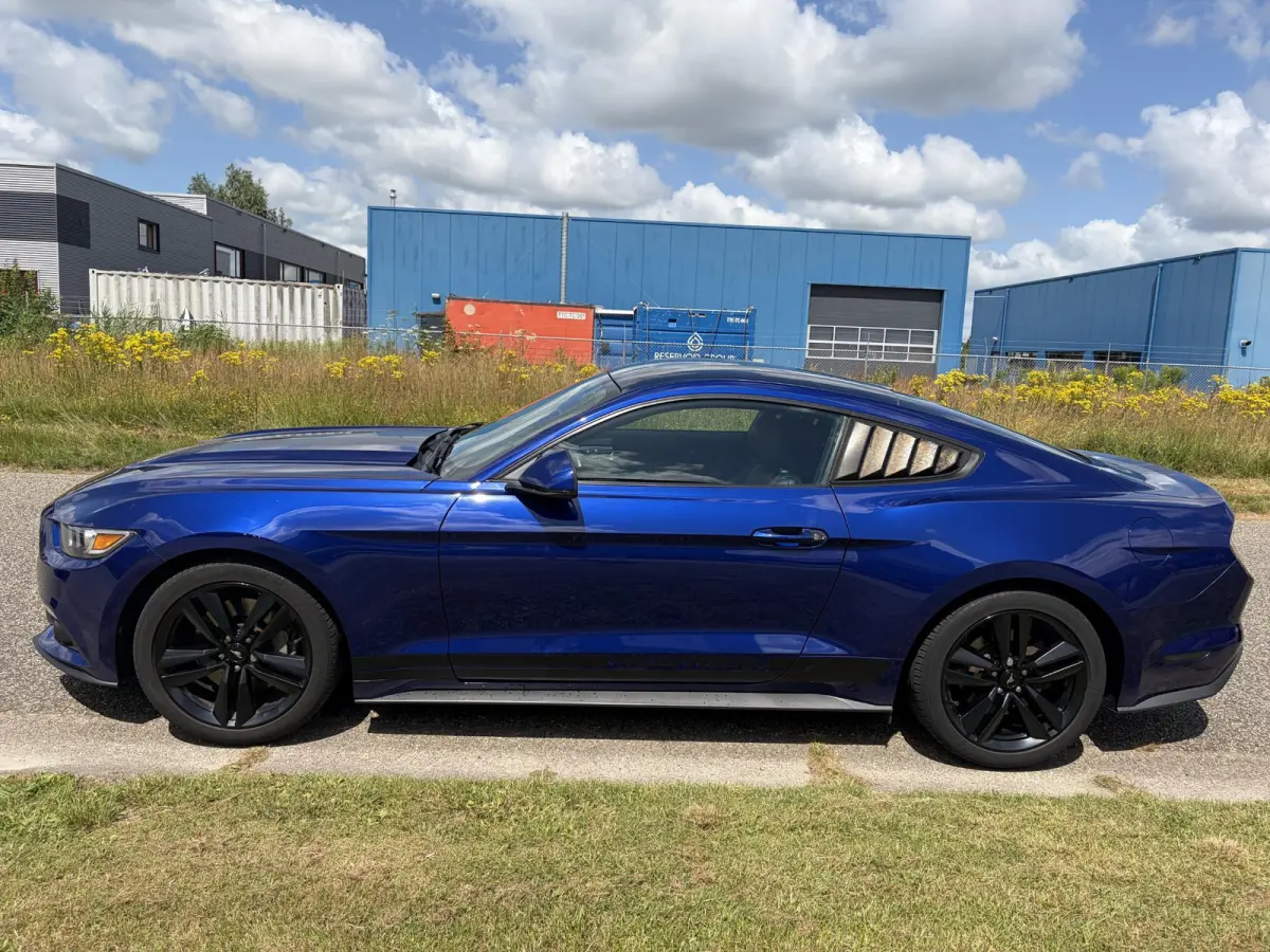 2.3 EcoBoost NAP