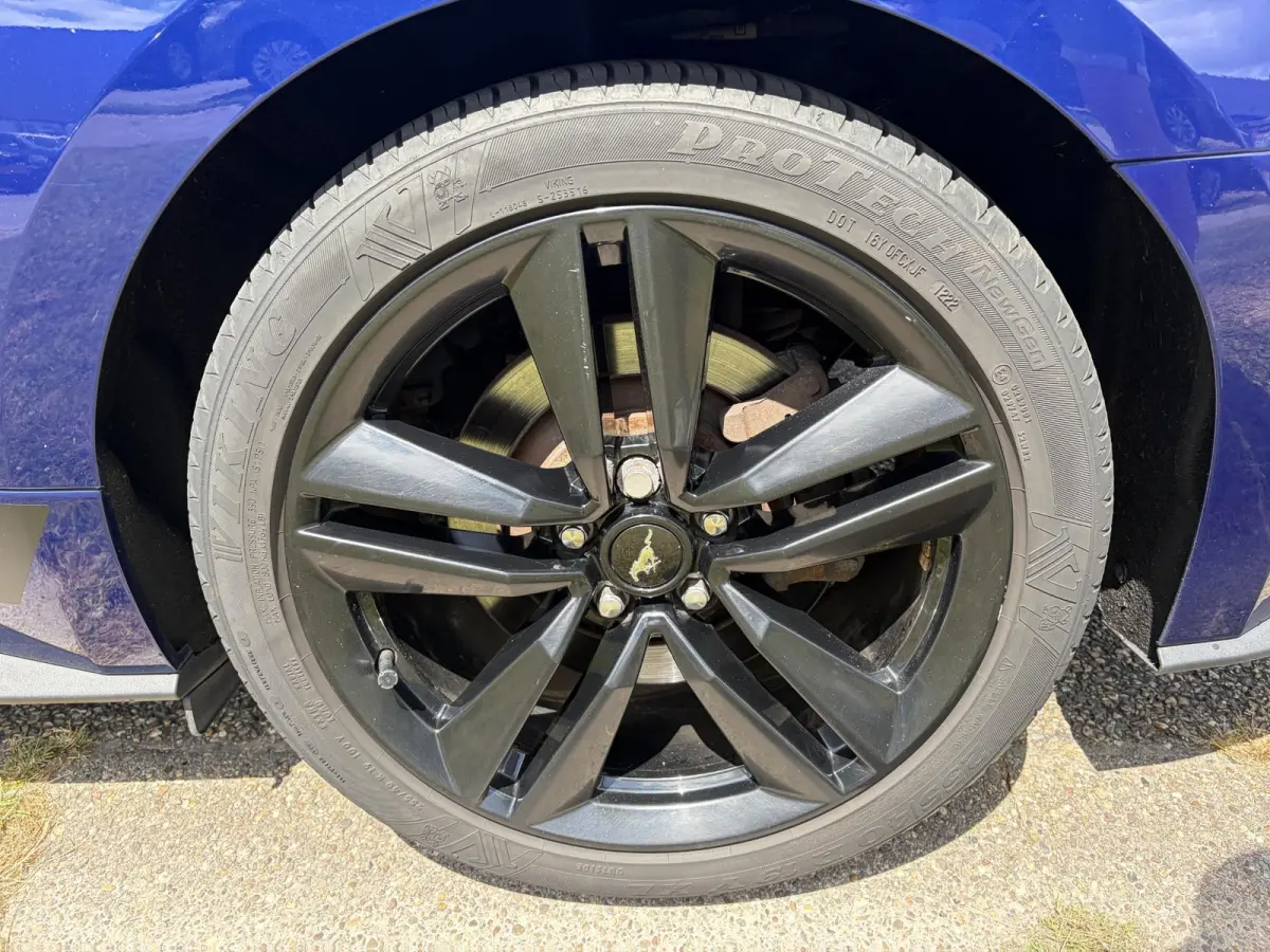 2.3 EcoBoost NAP