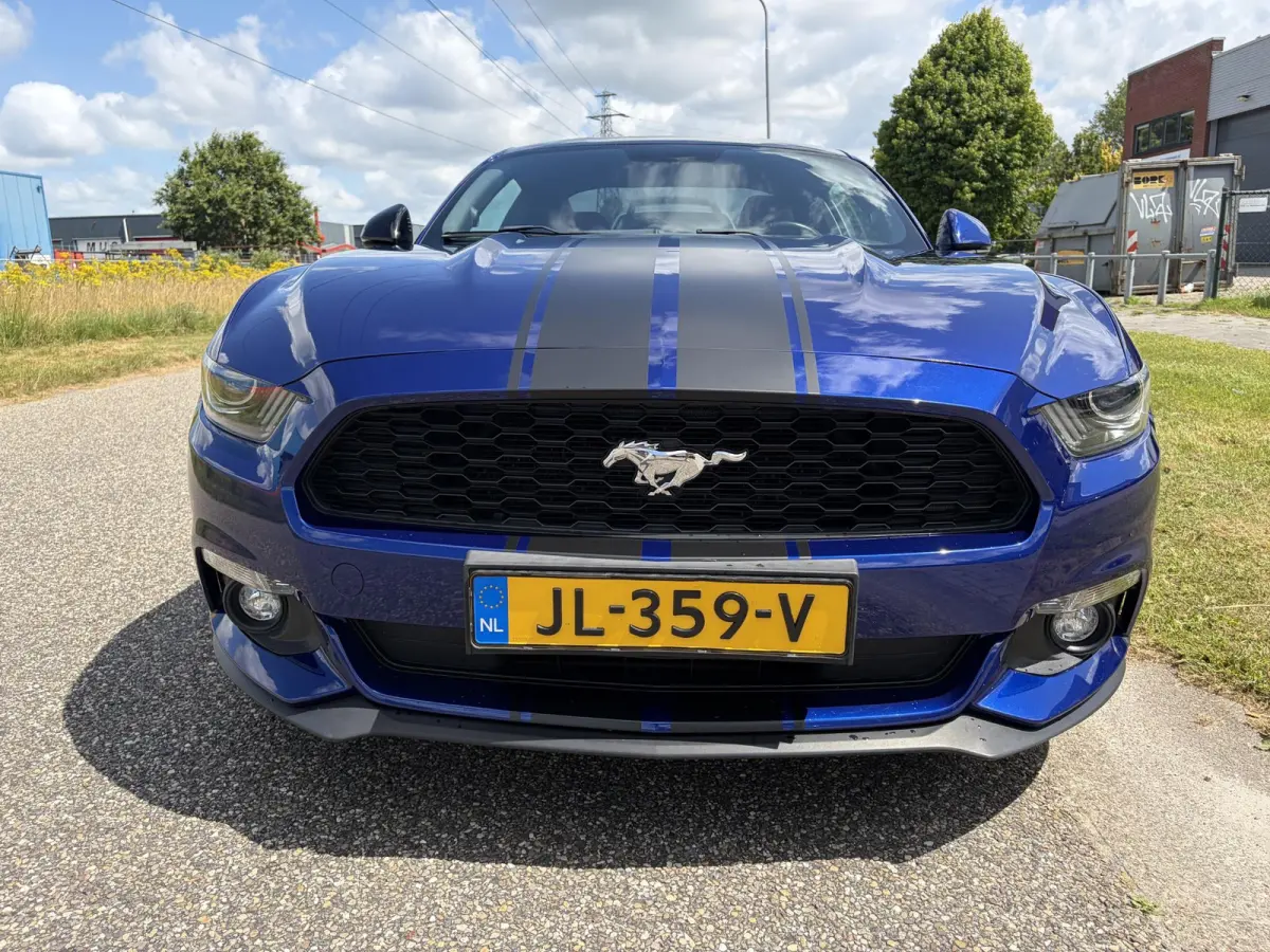 2.3 EcoBoost NAP