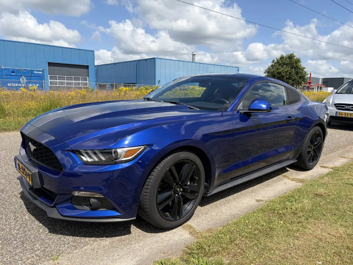 2.3 EcoBoost NAP