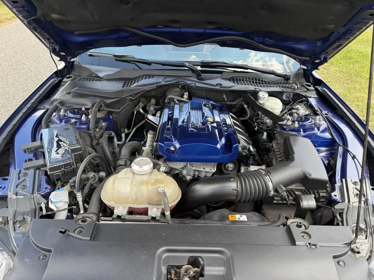 2.3 EcoBoost NAP