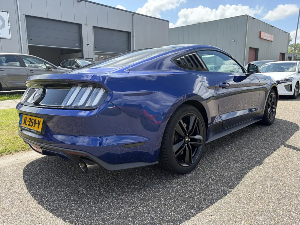 2.3 EcoBoost NAP
