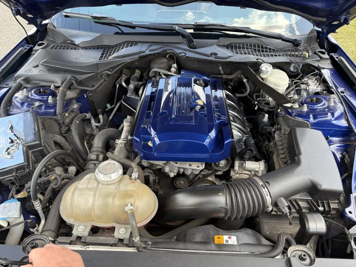 2.3 EcoBoost NAP