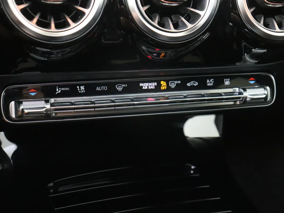 250 e Business Solution AMG Limited / Memory-Stoelen / Panaroma-dak /