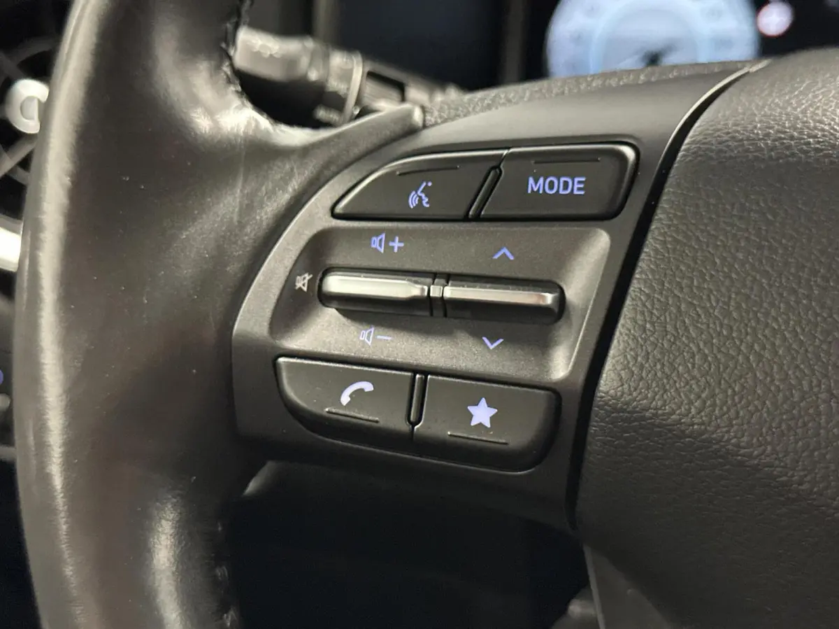 EV Fashion 64 kWh|SOH 100%|Warmtepomp|Carplay|Navi|