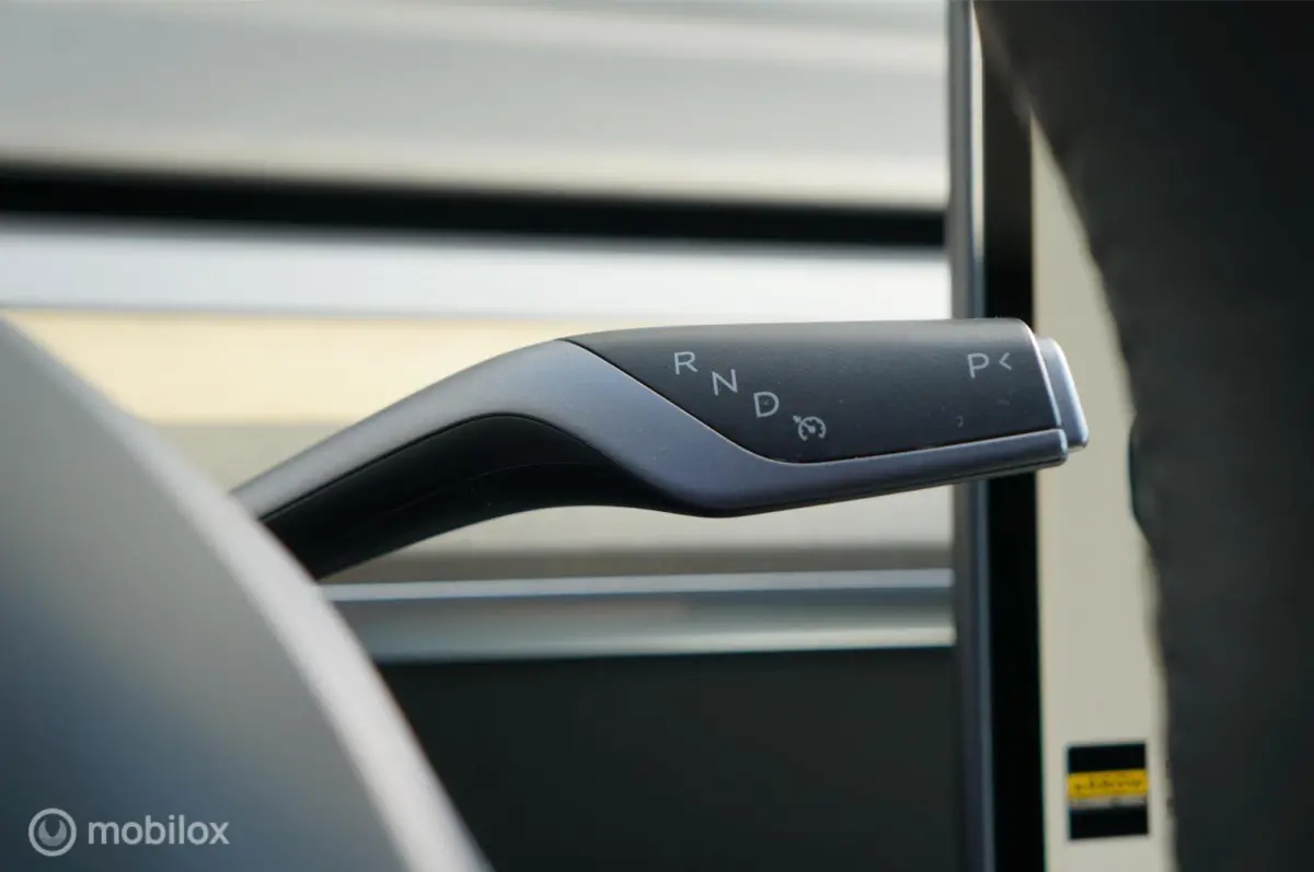 RWD 58 kWh Premium Leather FSD Pano Garantie!