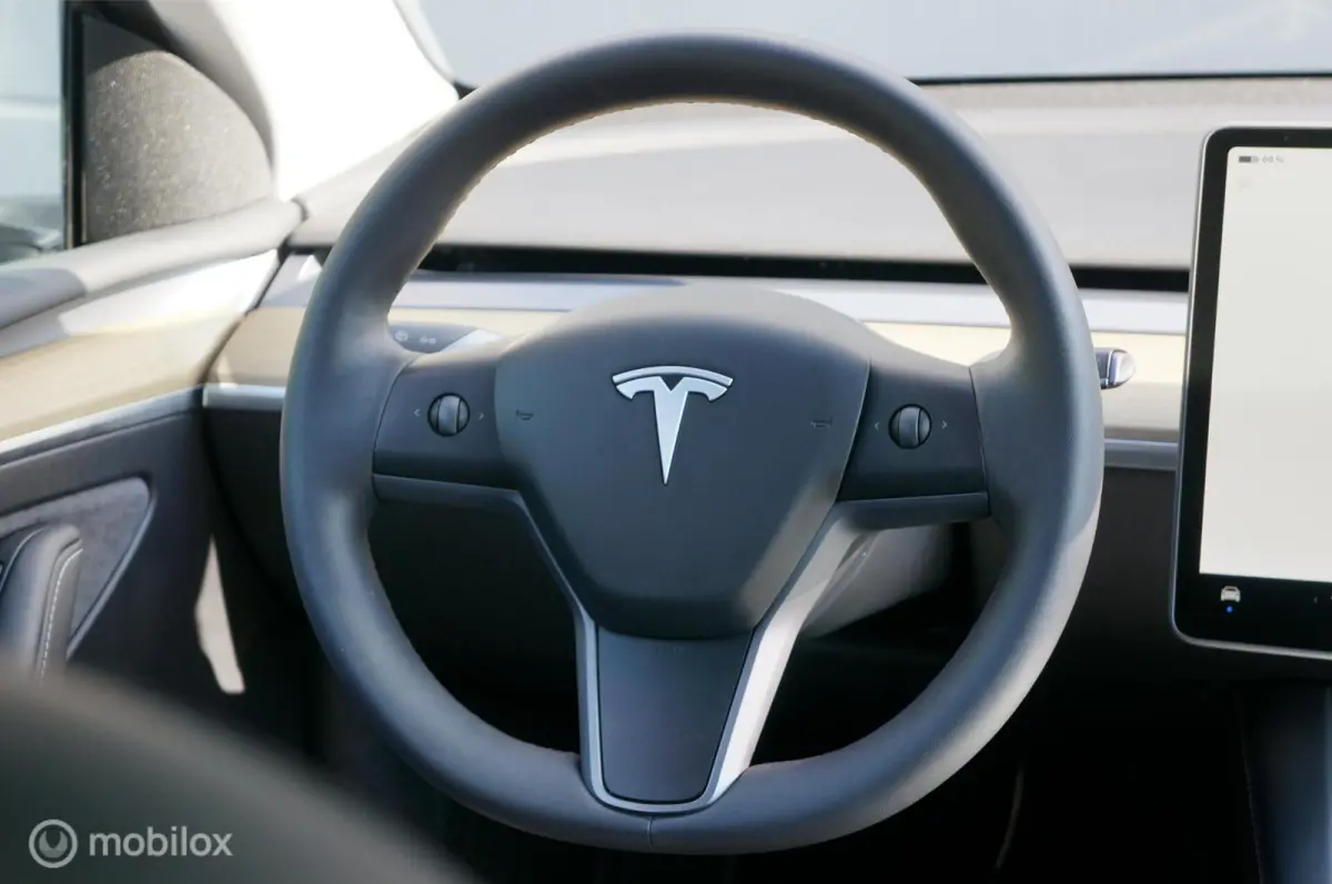 RWD 58 kWh Premium Leather FSD Pano Garantie!