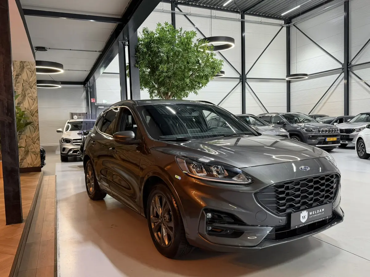 2.5 ST-Line FHEV|Uniek|1.600KG Trekgewicht|Full-Hybride|Camera|Blindspot|Keyless|Navi|LED|Elek. Achterklep|Rijklaar