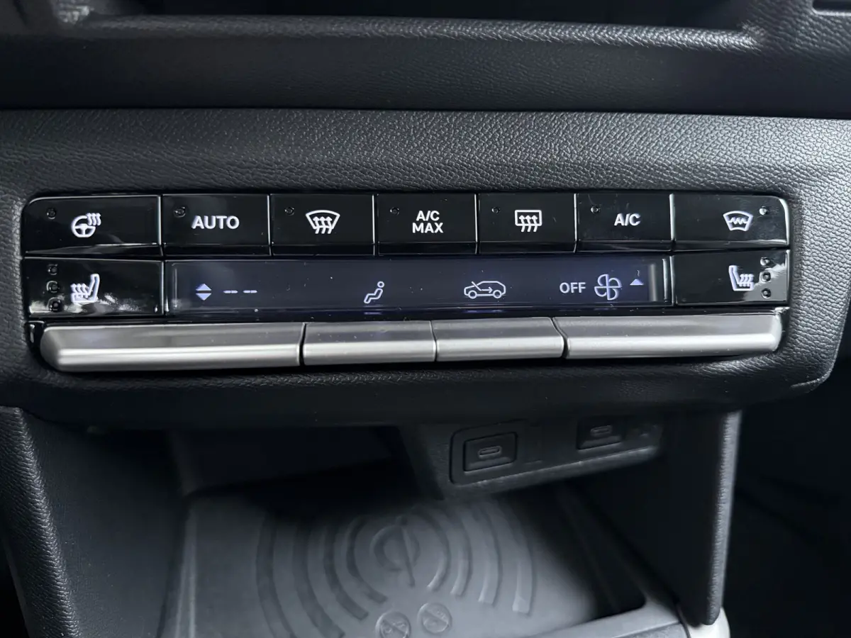 GS 44 kWh Navigatie / Camera / LED / 17"LMV