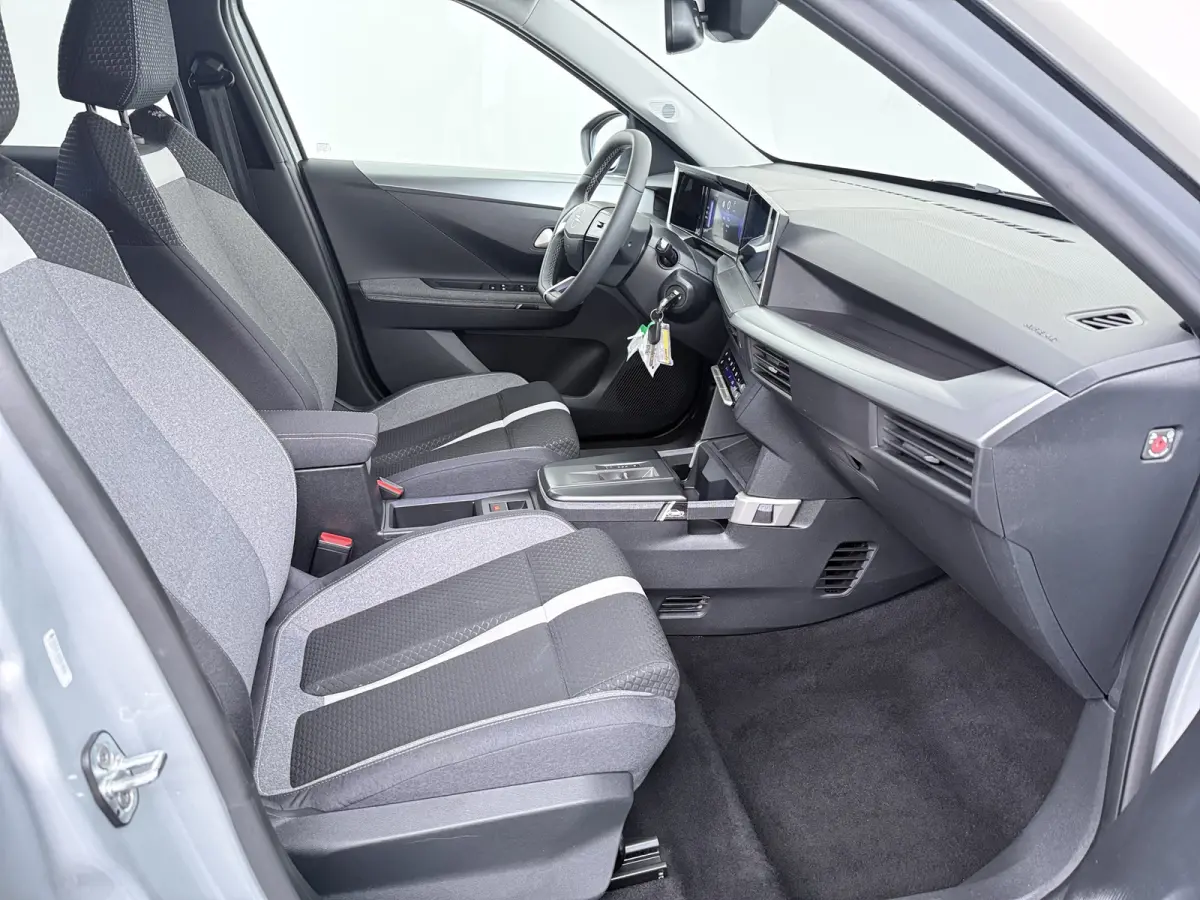 GS 44 kWh Navigatie / Camera / LED / 17"LMV