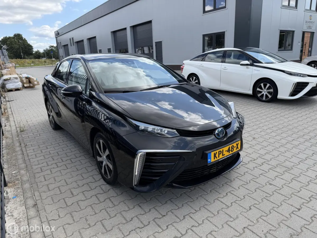 Dynamic NIEUW IN DE BTW