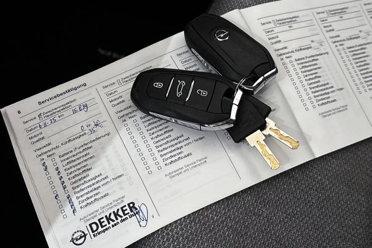 1.6 Turbo Plug In Hybrid Business Elegance Trekhaak Winterpakket