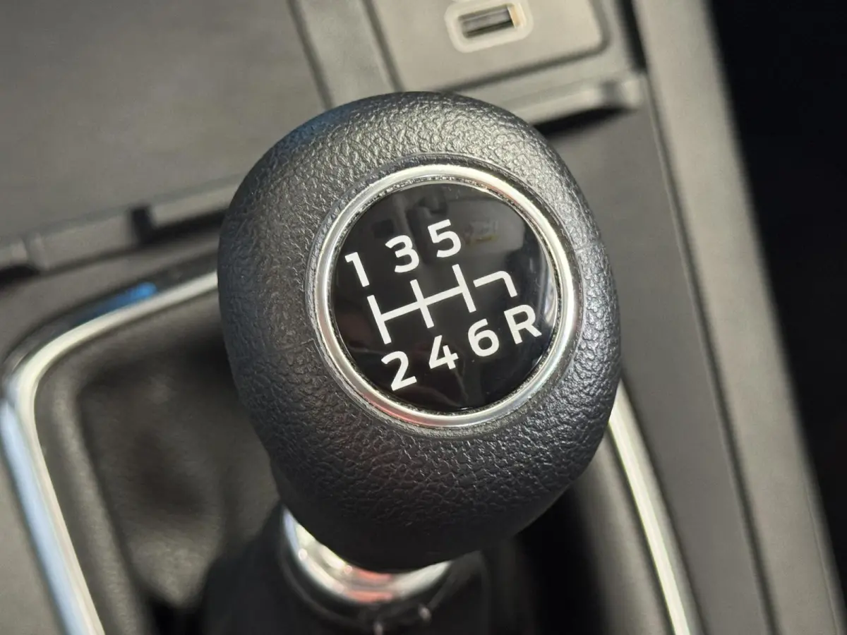 1.0 EcoBoost Titanium Navi | Camera | Carplay | Cruise ( Vestiging - Nieuwegein )