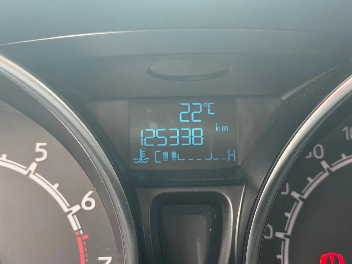 1.0 EcoBoost Titanium - Panther Black - Nav/Winterpakket/Cruise