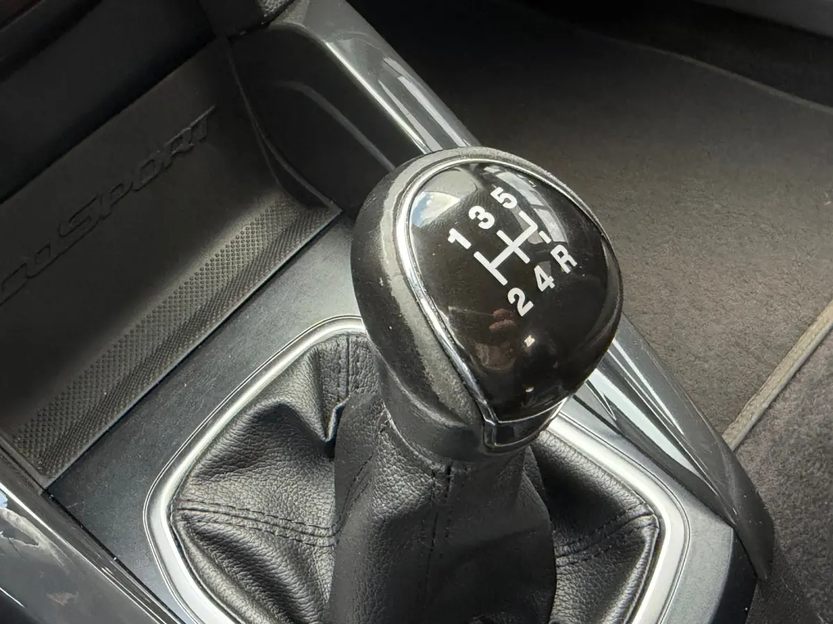 1.0 EcoBoost Titanium - Panther Black - Nav/Winterpakket/Cruise