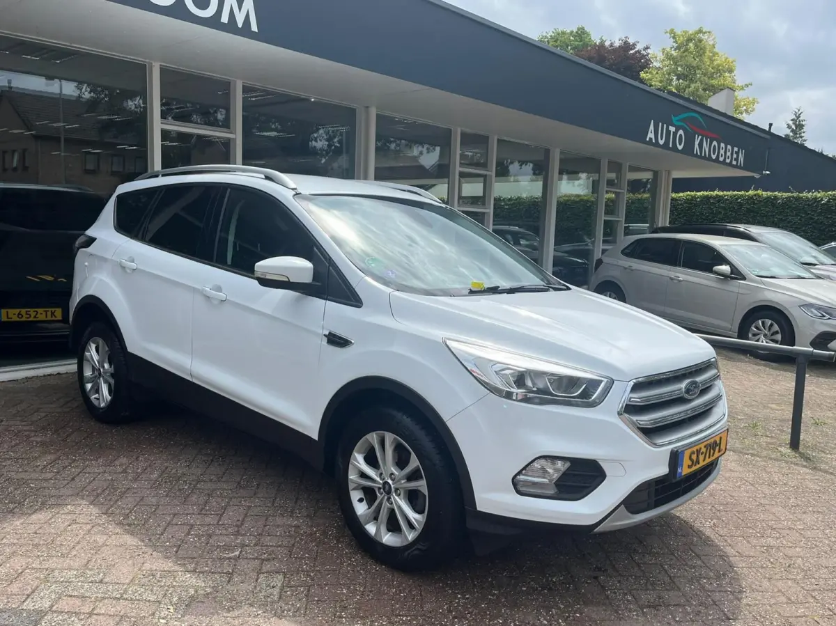 1.5 EcoBoost Titanium Climat, Cruise, Pdc, Trekhaak, LM..