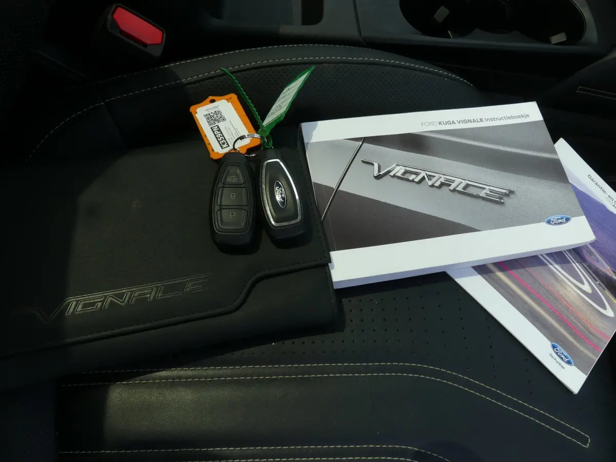 2.5 PHEV Vignale / Pano / H&K Audio / Winter