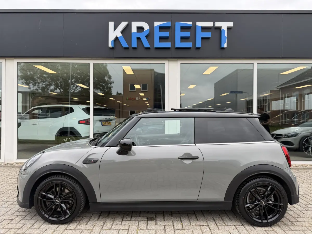 2.0 Cooper S Pepper Panorama | Zwart optiek