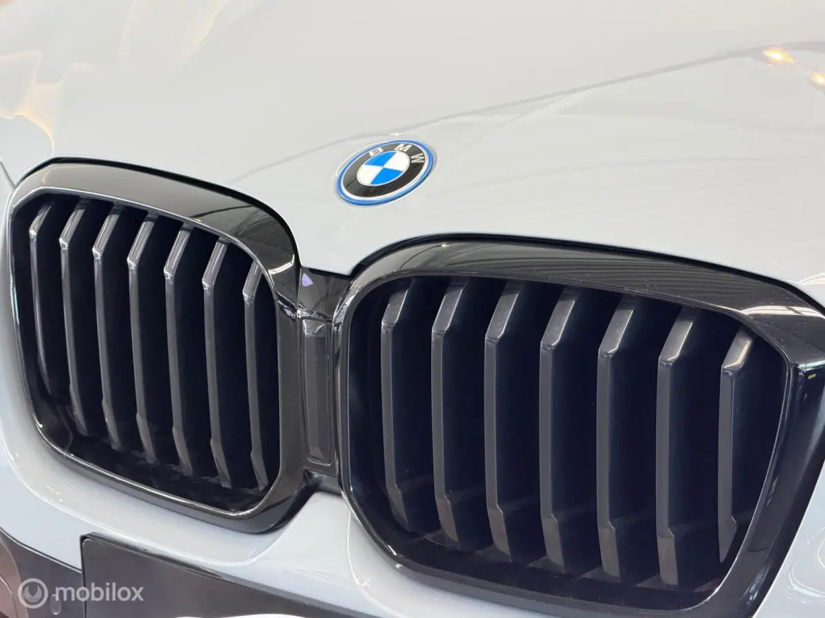 xDrive30e M Sport Brooklyn grey Panorama/Keyless/Trekhaak/Laser