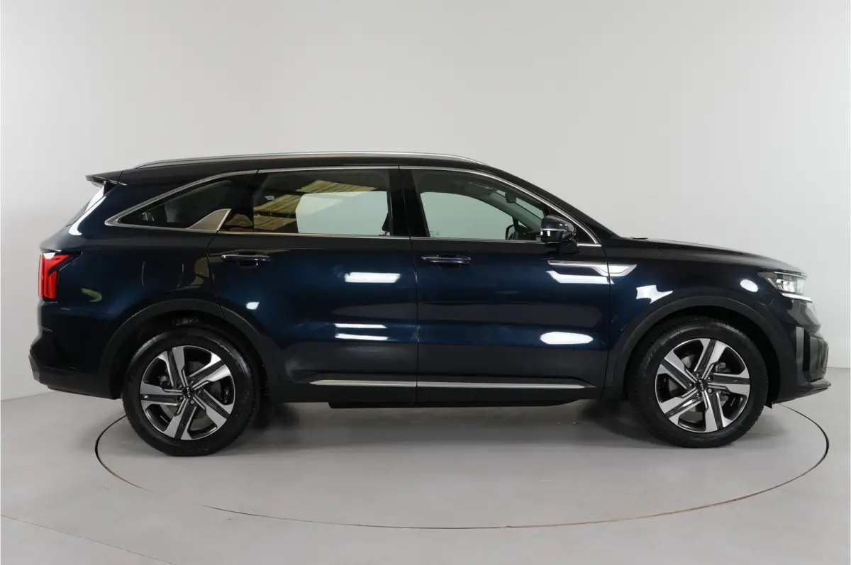 1.6 T-GDI PHEV 4WD 265 pk DynamicLine 7p. | Dealer onderhouden | Cruise adaptief | Stl. verw. |