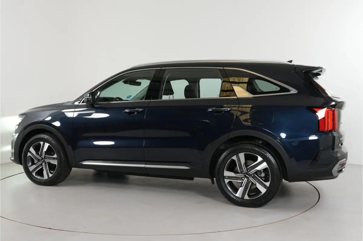 1.6 T-GDI PHEV 4WD 265 pk DynamicLine 7p. | Dealer onderhouden | Cruise adaptief | Stl. verw. |