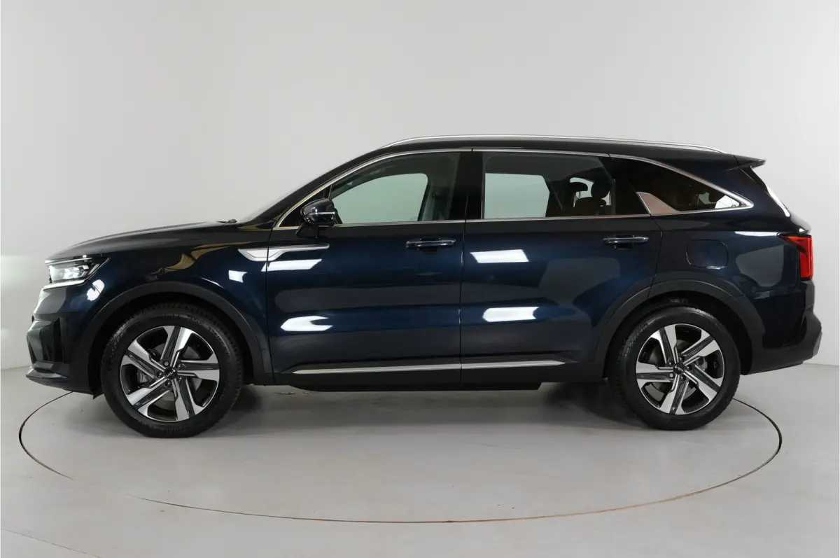 1.6 T-GDI PHEV 4WD 265 pk DynamicLine 7p. | Dealer onderhouden | Cruise adaptief | Stl. verw. |