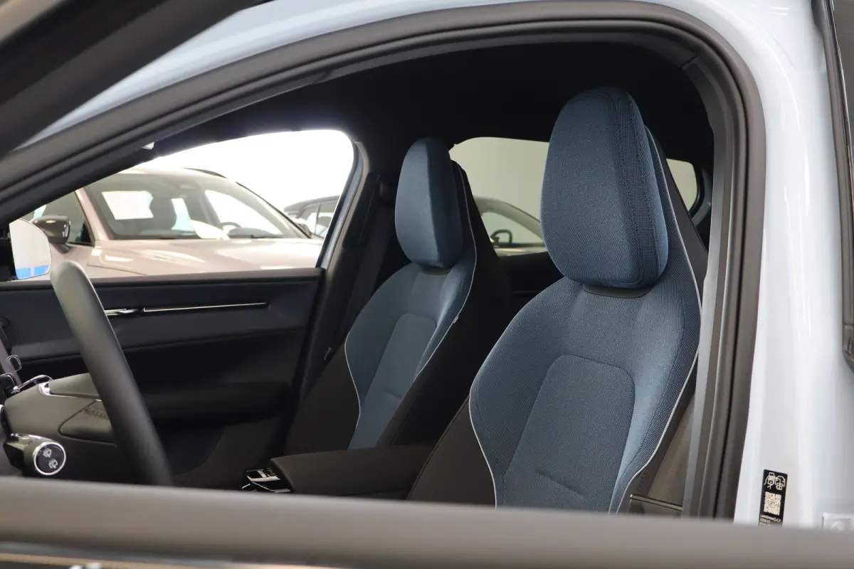 P5 Long Range 272PK Europa Plus 69kWh | Getint Glas | Power Seats | Stoelverw | HK Audio | Achteruitrijcamera | Armsteun voor | Audio installatie premium