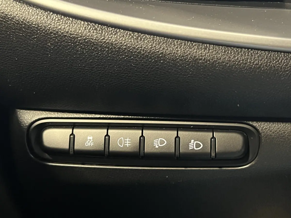 Icon 42 kWh | SoH 94.1% | Navigatie/Android/Apple Carplay | LM Velgen 16" | Cruise Control | DAB | Cruise Control | Airco |