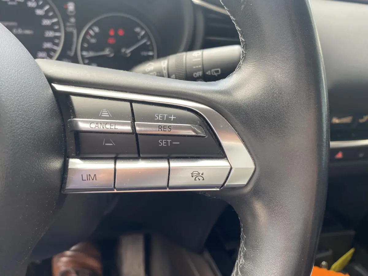 2.0 e-SkyActiv-X M Hybrid Luxury | TREKHAAK | LEDER | MEMORYSTOELEN | HEAD UP DISPLAY | BOSE | STOELVERWARMING | CAMERA | NAVIGATIE | LMV | ADAPTIEF CRUISECONTROL |