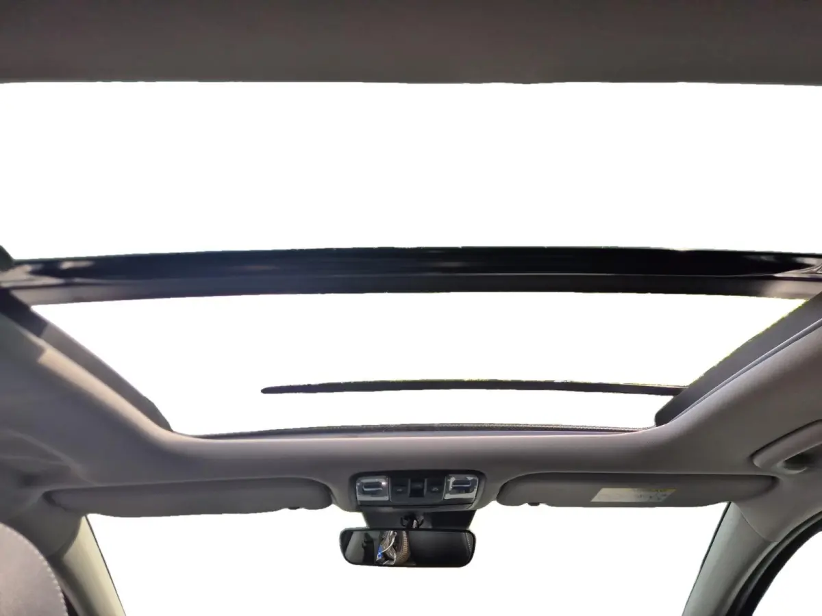 PHEV Executiveline | Cruise Control | Climate Control | Camera | Memory Stoelen | Open Dak | Stoelverwarming | Stuurverwarming | Stoelverkoeling | Elektrische Kofferbak |