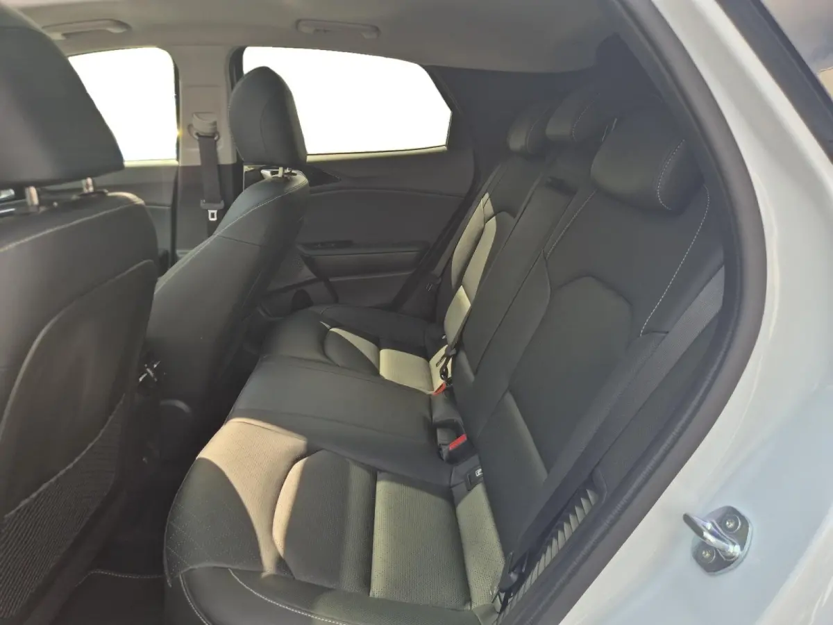 PHEV Executiveline | Cruise Control | Climate Control | Camera | Memory Stoelen | Open Dak | Stoelverwarming | Stuurverwarming | Stoelverkoeling | Elektrische Kofferbak |