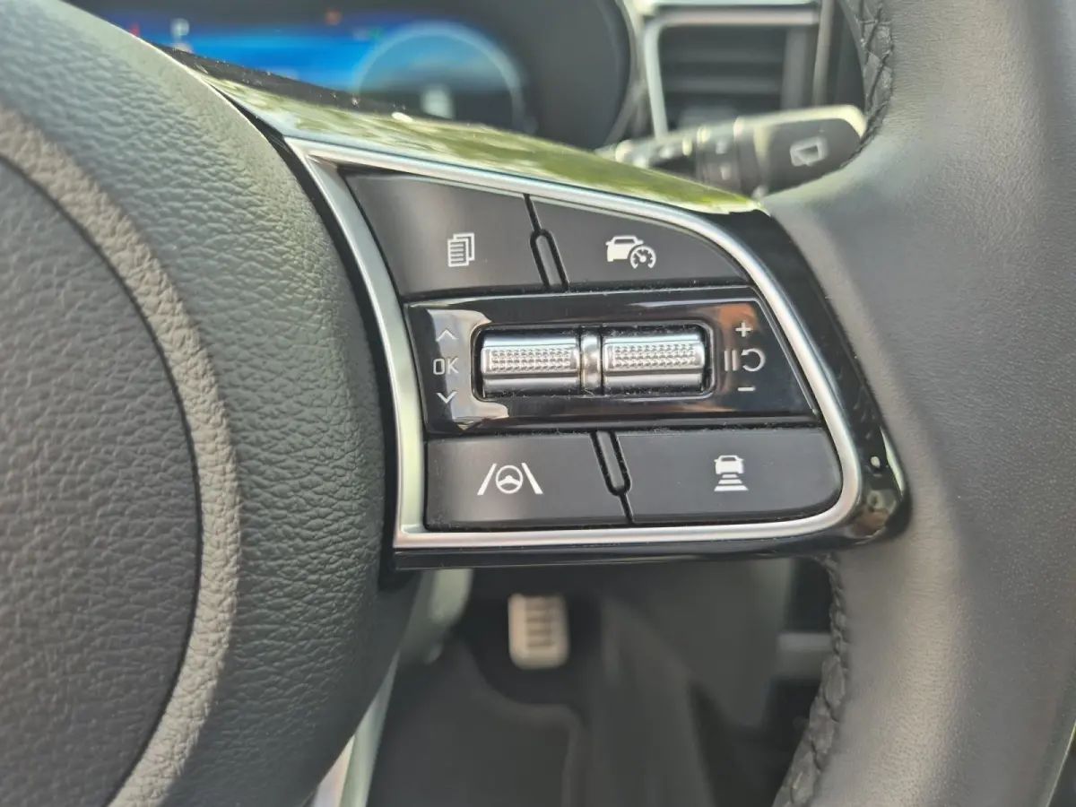 PHEV Executiveline | Cruise Control | Climate Control | Camera | Memory Stoelen | Open Dak | Stoelverwarming | Stuurverwarming | Stoelverkoeling | Elektrische Kofferbak |