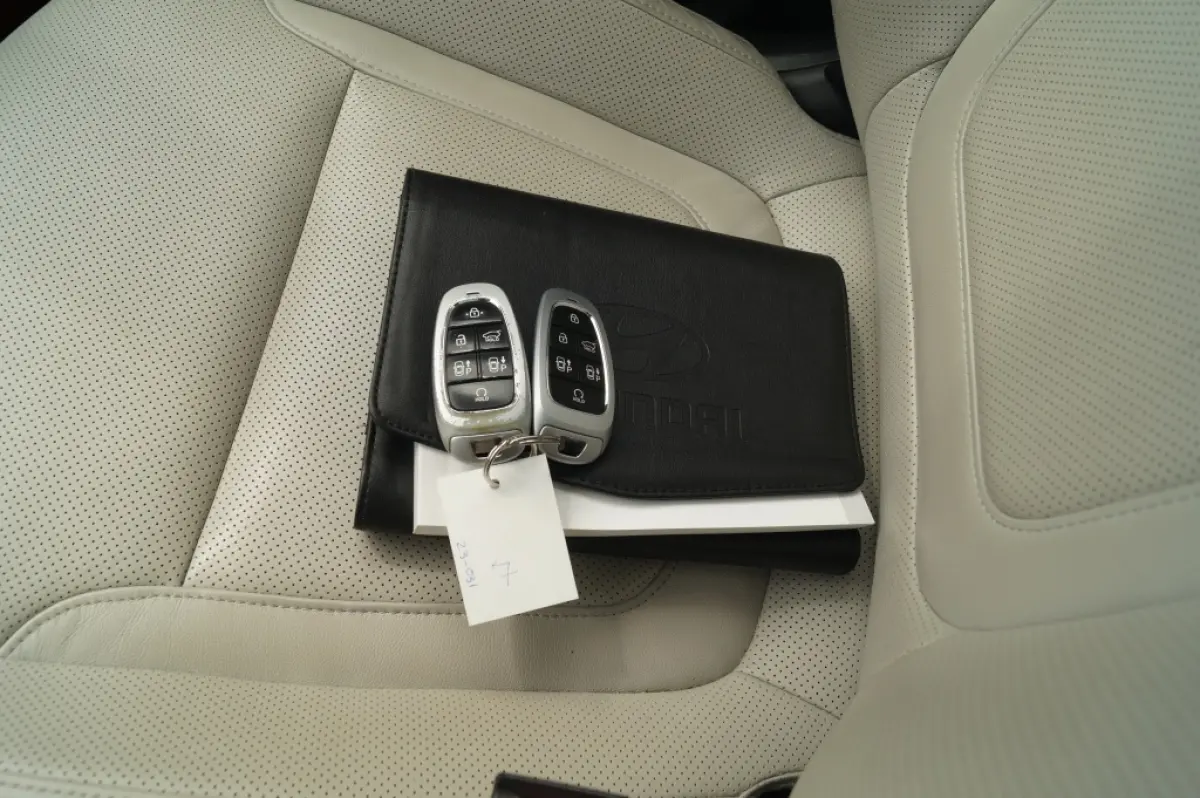 1.6 T-GDI PHEV Premium Sky -LEER-PANO-TREKHAAK-