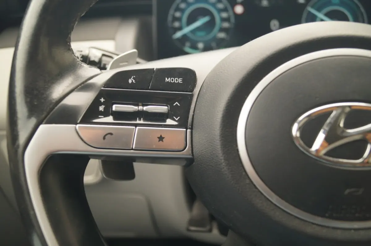 1.6 T-GDI PHEV Premium Sky -LEER-PANO-TREKHAAK-