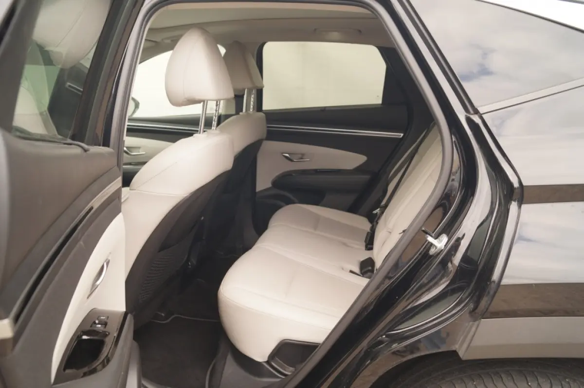 1.6 T-GDI PHEV Premium Sky -LEER-PANO-TREKHAAK-