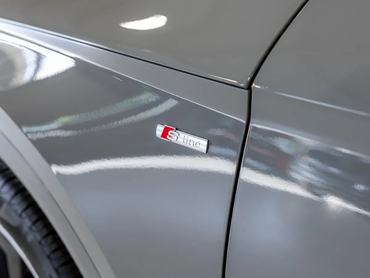 50 TFSI e quattro S-Line edition SOH 92% / 300pk / Panorama dak / Trekhaak / Rondomzicht camera /