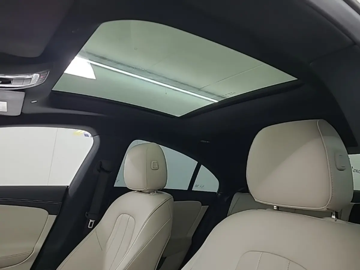 250 e Luxury Line 1e-Eig. & Keurig-Onderh. BOVAG-Garantie. NL-Auto.