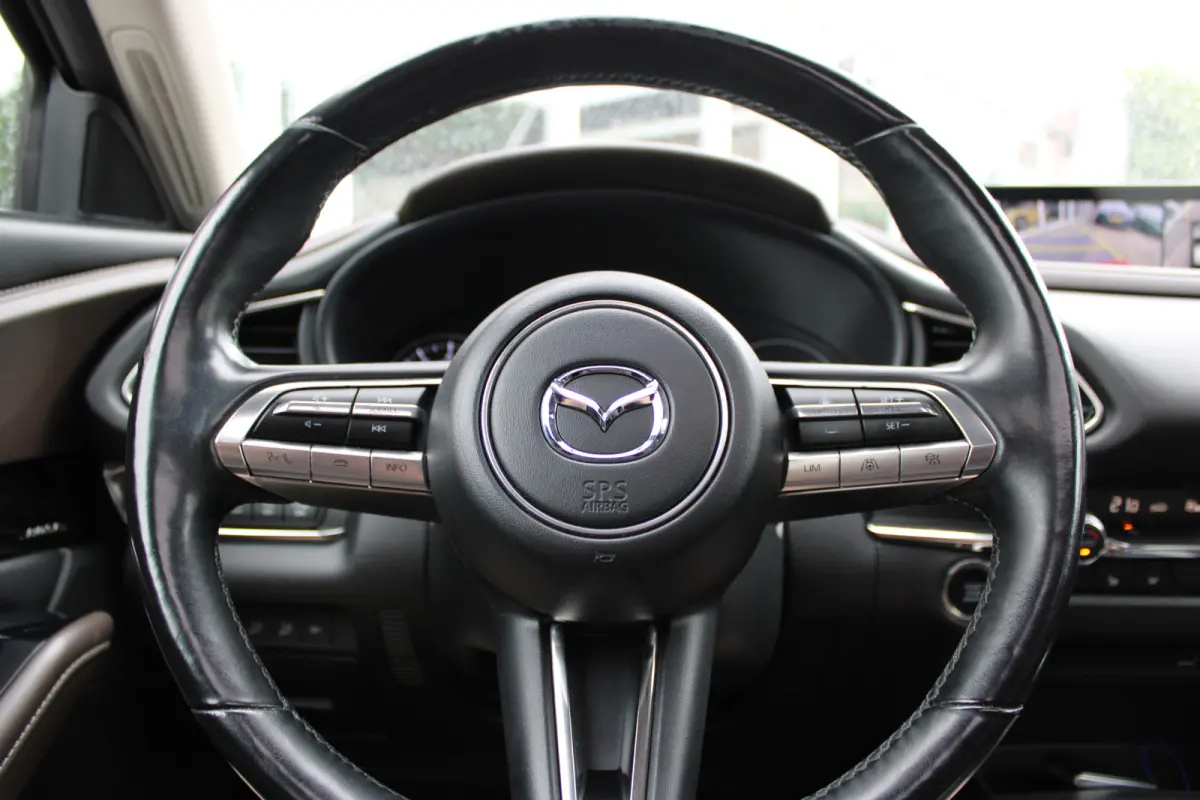 2.0 e-SkyActiv-X M Hybrid Luxury