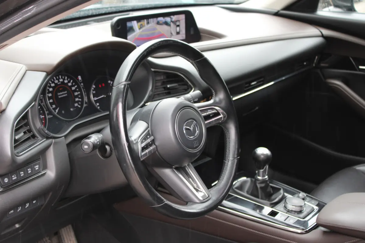 2.0 e-SkyActiv-X M Hybrid Luxury